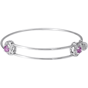 Rembrandt Insightful Bangle - February Bracelet Sterling Silver - 20-0517-2-ss