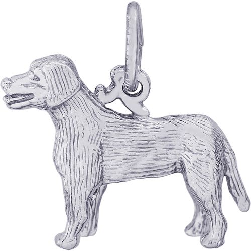 Labrador Retriever Dog Charm White Gold - 10-3453
