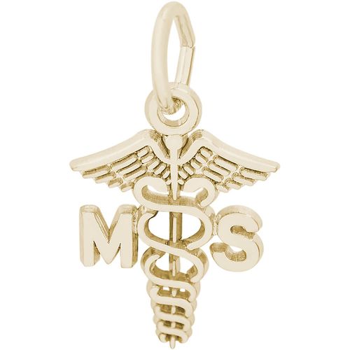 Medical Secretary Charm 14K Gold - 10-3213