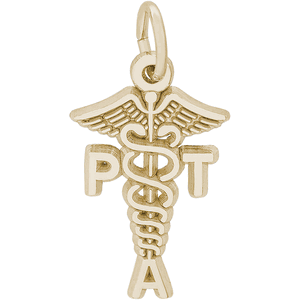 Physical Therapist Assistant Charm Gold Plated - 10-3566