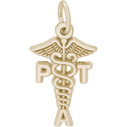 Physical Therapist Assistant Charm Gold Plated - 10-3566