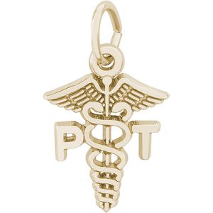 Physical Therapist Charm Gold Plated - 10-6546