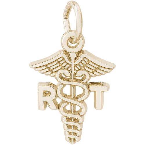 Registered Tech Caduceus Charm Gold Plated - 10-2278