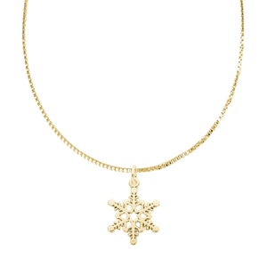 Rembrandt Snowflake Necklace Set 14k Gold - 29-7816-04-016-16-14k