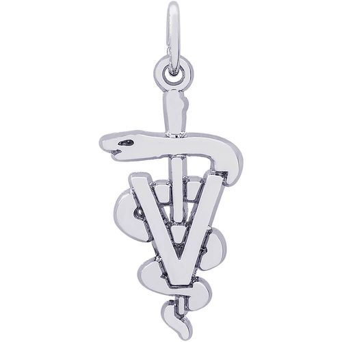 Veterinarian Charm Silver - 10-7934