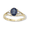 Sapphire & Diamond Ring - 07/077-09 - 14k Yellow Gold