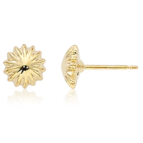 Scallop Button Stud Earrings - 14K Yellow Gold
