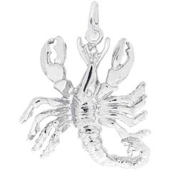 Scorpio Charm - 10-4140