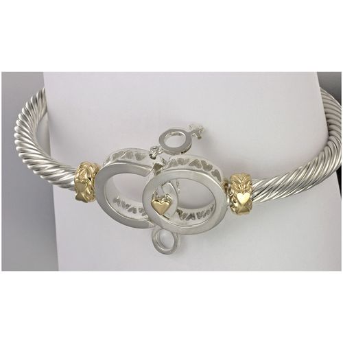 Shared Moments Cable Hook Bracelet - Silver & 14K Gold 5mm 6.5 Inch