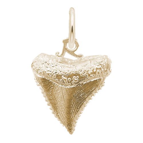 Shark Tooth Charm - 10K Yellow Gold - 10-1025-0-10k