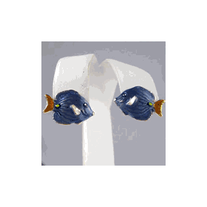 Silver Blue Tang Earrings - 665 E