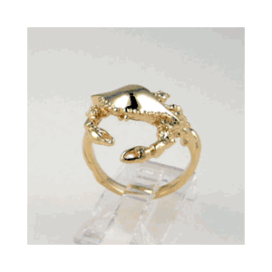 Silver Claw Up Crab Ring - 764