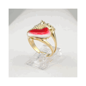 Silver Conch Enamel Ring - 766 E