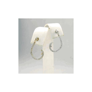 Silver CZ Hooks Earrings - 658 D