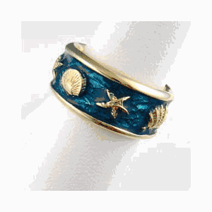 Silver Reef Band with Enamel Ring - 724 E