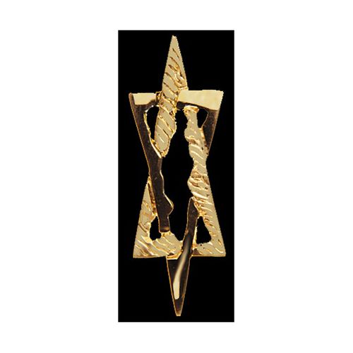 Small Star of David Pendant - 14K Yellow Gold