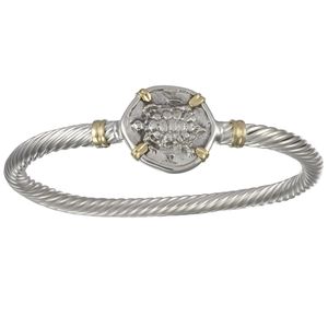 Ss/14ky 5mm Ancient Turtle Coin Cable Two Tone Bracelet 8.0 Inch - CBLTT5ACT80