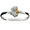 Ss 6mm Palm Bracelet W/14ky Coconuts And Wrap 7.0 Inch - C6TTPALM70