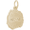 St. Kitts Nevis Map With Border Charm - 14K Gold