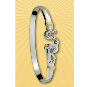 St. Petersburg, FL Destination Bracelet - 4mm 7 Inch