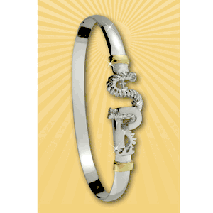 St. Petersburg, FL Destination Bracelet - 6mm 7 Inch