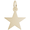 Star - 50 Series Charm - 14K Gold - 10-3484-50