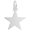 Star - 50 Series Charm - Sterling Silver - 10-3484-50