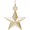 Star Charm 10K Gold - 10-6305