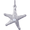 Starfish Charm White Gold - 10-6027