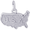 U.S.A. Map Charm White Gold - 10-2351