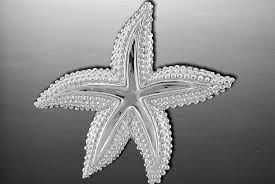 Vanmark Silver Large Starfish Pendant - PD351S