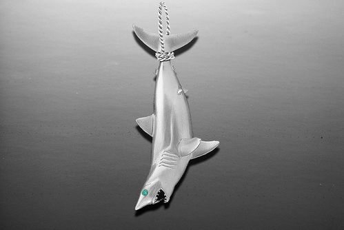 Vanmark Silver Mako Shark Tail Wrap Pendant - PD116S