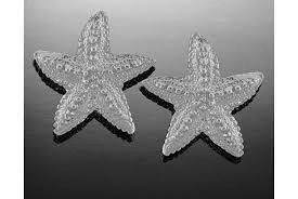 Vanmark Starfish Stud Earrings - ER030S