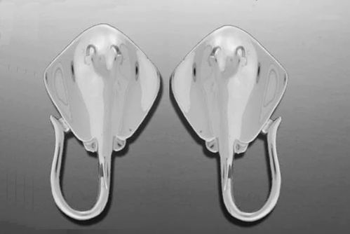 Vanmark Sterling Silver Stingray Post Back Earrings - ER050S