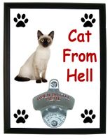 Cat From Hell Bottle Opener Plaque - Siamese Cat