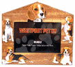 Dog Breed Photo Frame - Beagle Dog Breed Photo Frame - Beagle