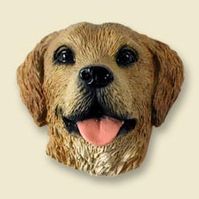 Doogie Head - Golden Retriever