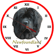 Frameless Wall Clock - Newfoundland