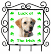 Irish Metal Key Holder - Yellow Labrador Retriever Irish Metal Key Holder - Yellow Labrador Retriever