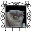 Metal Key Holder - Persian Cat Metal Key Holder - Persian Cat