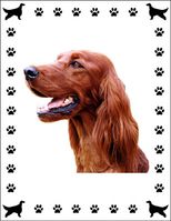 Note Cards - Irish Setter