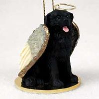 Tiny Angel - Newfoundland