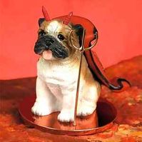 Tiny Devil - Bulldog