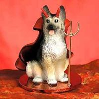 Tiny Devil - German Shepherd