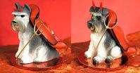 Tiny Devil - Schnauzer