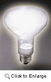 Reflector / Flood Natural Daylight Bulbs
