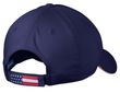 Patriotic Butterfly Hat - Adult Size Americana Cap