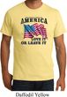 America Love It or Leave It Mens Organic Shirt