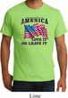 America Love It or Leave It Mens Organic Shirt