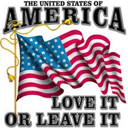 America USA T-Shirt - Love It Or Leave It Adult Tee